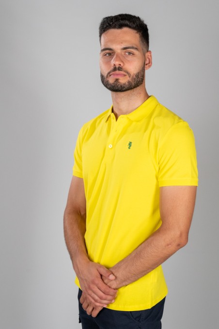 POLO BRITISH LIMÓN